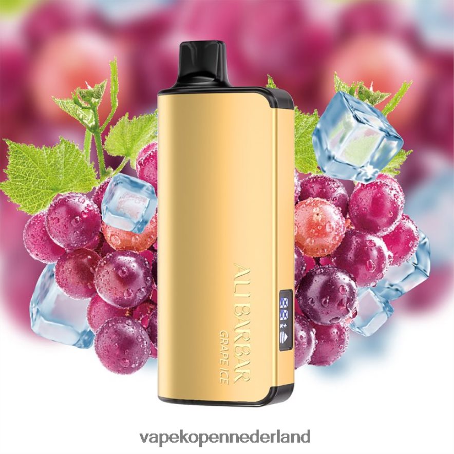 Alibarbar Ingot 20000 wegwerpdamp druiven ijs NNL4PT37 Vape Zonder Nicotine