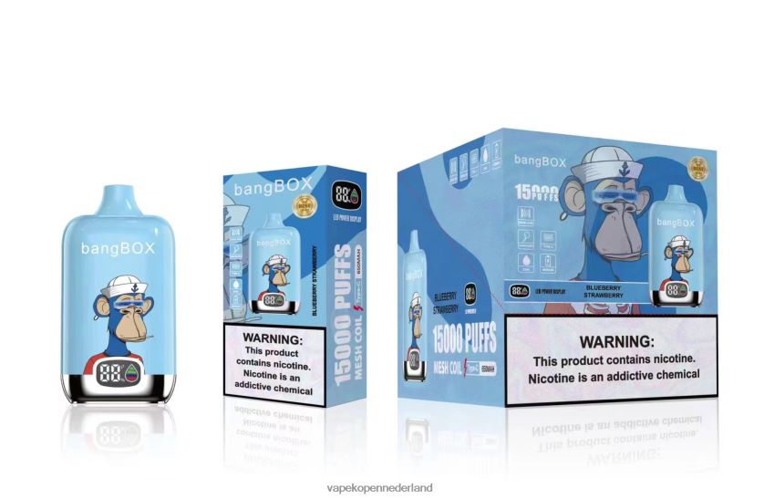 Vape Kopen NFBX6N38 bosbes aardbei - Bang Box 15000 trekjes