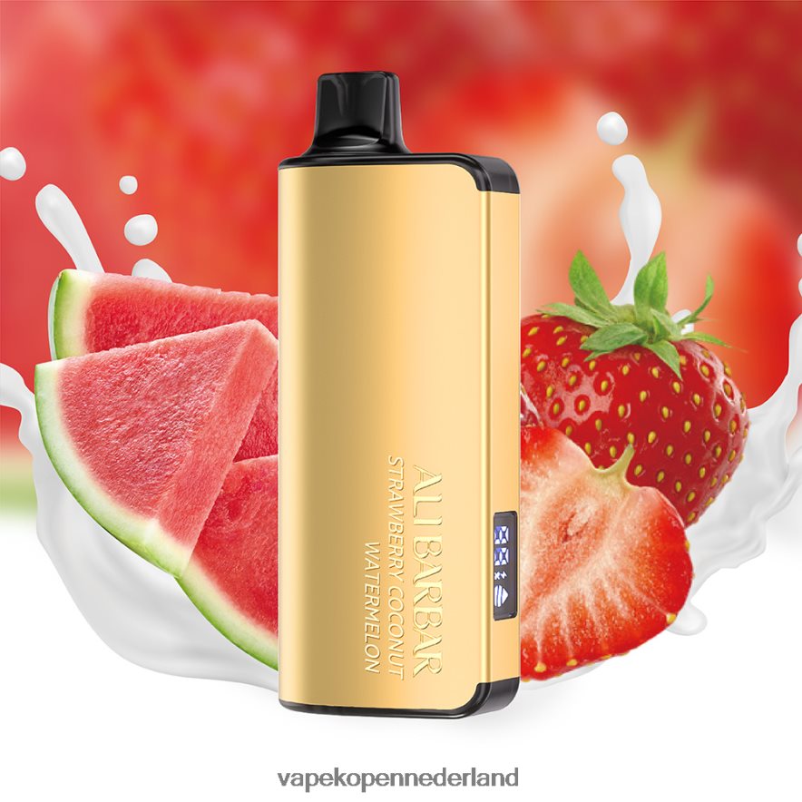 Alibarbar Ingot 9000 wegwerpdamp aardbei-kokos-watermeloen NNL4PT24 E-Liquid Nederland