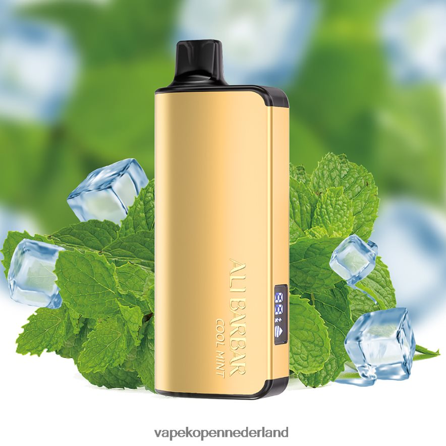 Alibarbar Ingot 9000 wegwerpdamp koele munt NNL4PT18 Vape Kopen