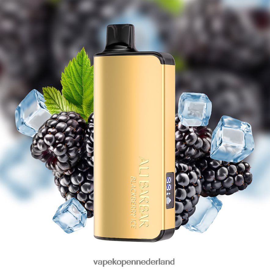 Alibarbar Ingot 9000 wegwerpdamp mango-magie NNL4PT29 E-Liquid Nederland