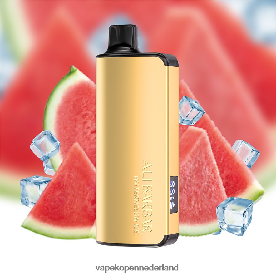 Alibarbar Ingot 9000 wegwerpdamp watermeloen ijs NNL4PT26 Vape Nederland