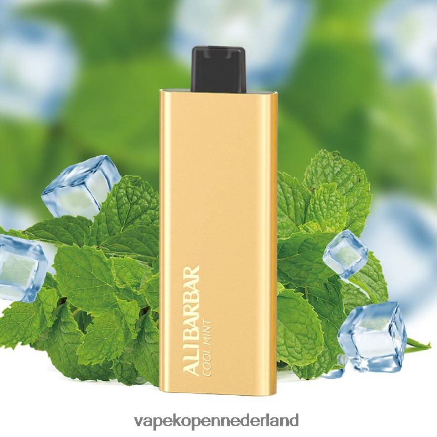 Alibarbar Pandora 7000 wegwerpdamp koele munt NNL4PT54 E-Liquid Nederland