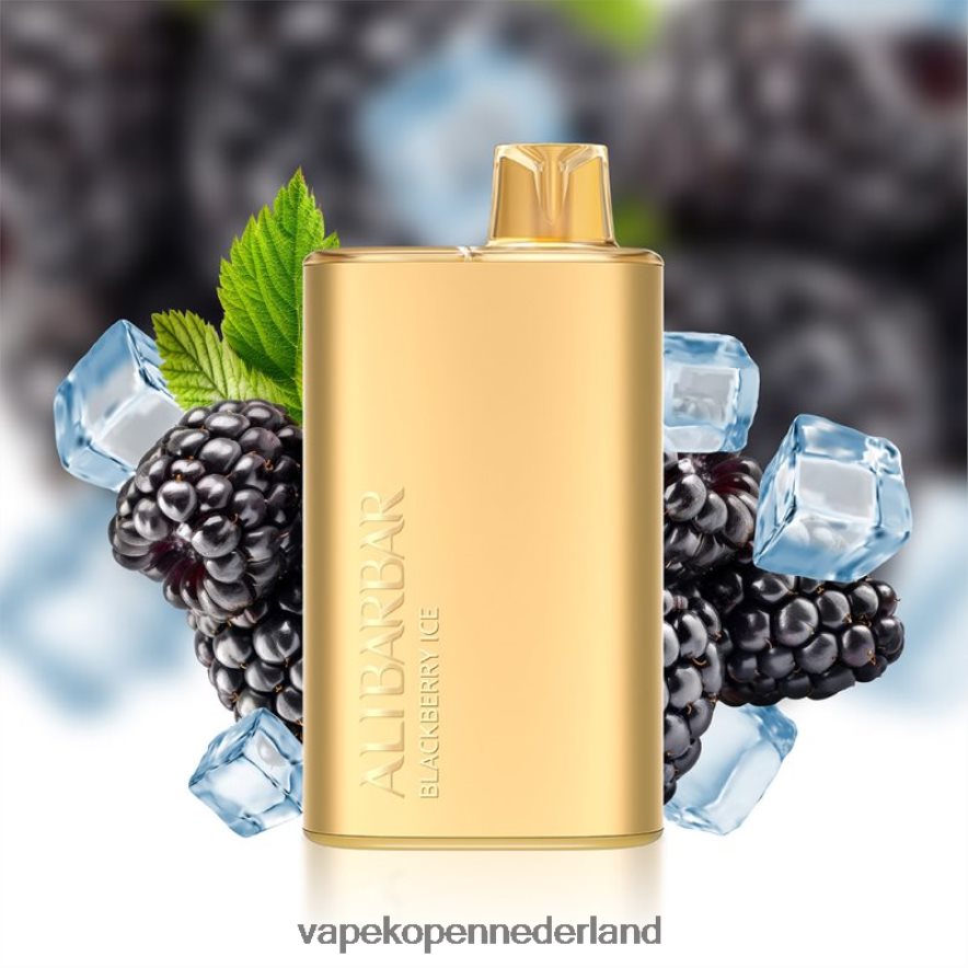 Alibarbar Rich 8000 wegwerpdamp bramen ijs NNL4PT10 Electronic Cigarette Vape