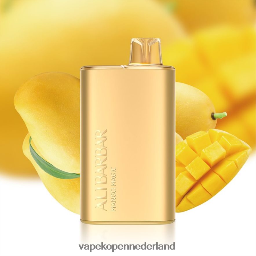 Alibarbar Rich 8000 wegwerpdamp mango-magie NNL4PT7 Vape Zonder Nicotine