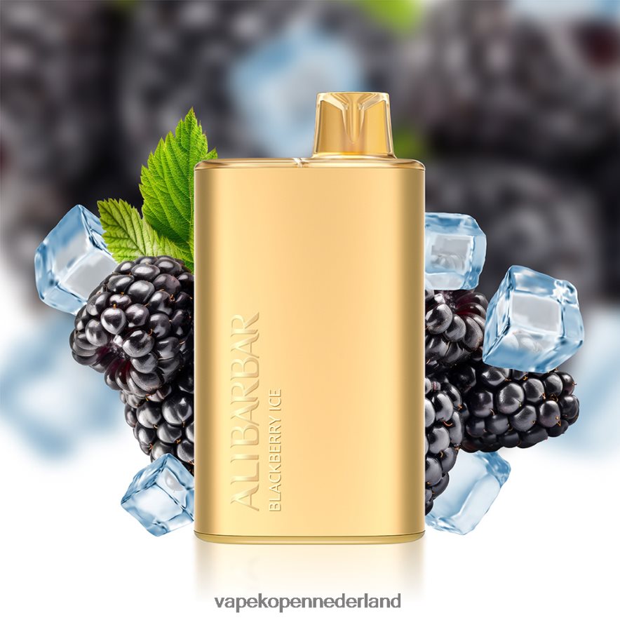 Alibarbar Rich 8000 wegwerpdamp solo NNL4PT11 Vape Nederland