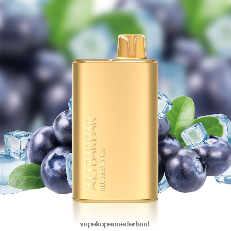 Alibarbar Rich 8000 wegwerpdamp solo NNL4PT11 Vape Nederland