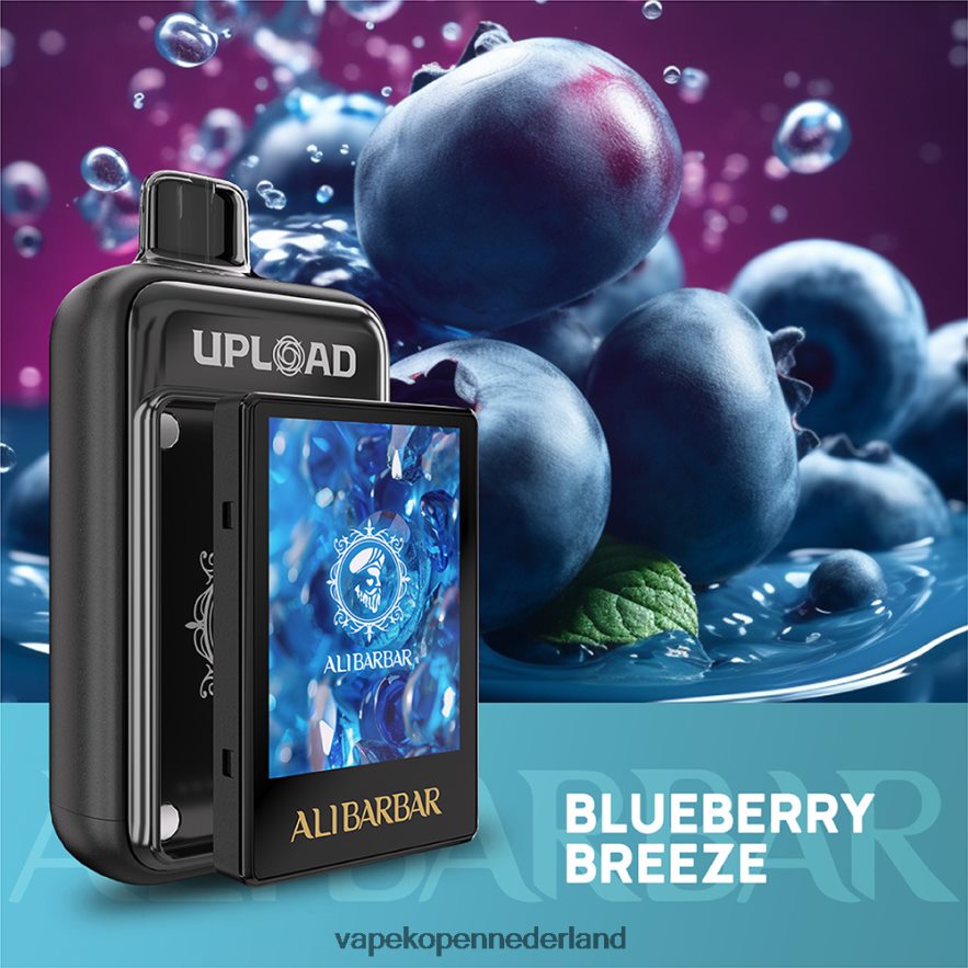 Electronic Cigarette Vape bosbessen briesje | Alibarbar uploaden LDR6F0113