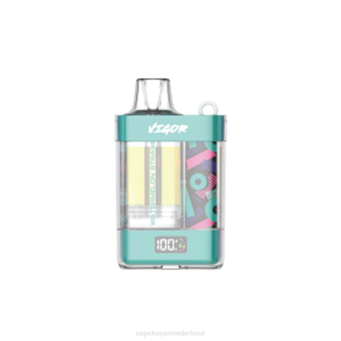 P8B212 Electronic Cigarette Vape - watermeloen aardbei LAVIE VIGOR 15000 trekjes