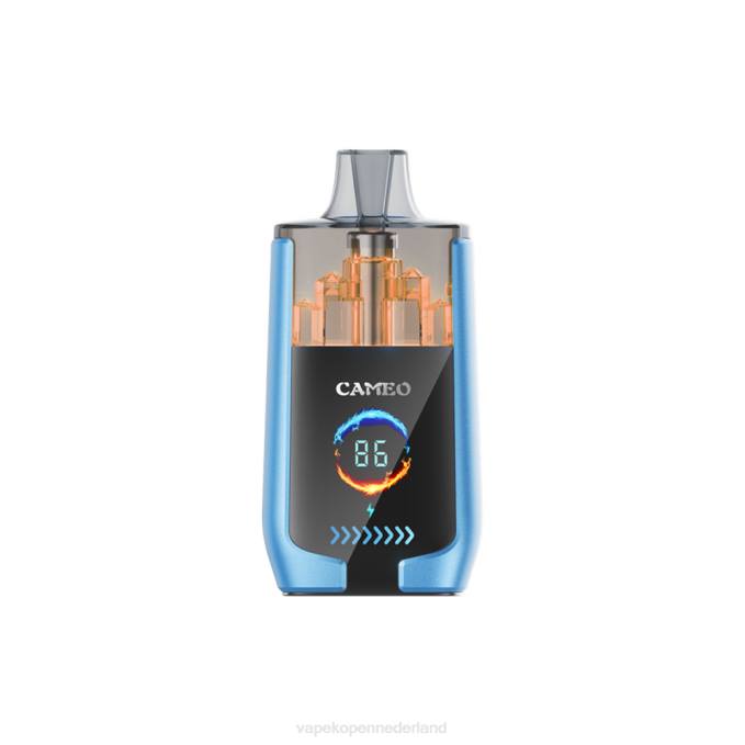 P8B213 Vape Nederland - aardbeien ijs LAVIE CAMEO 30.000 trekjes