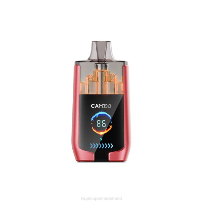 P8B214 E-Liquid Nederland - watermeloen ijs LAVIE CAMEO 30.000 trekjes