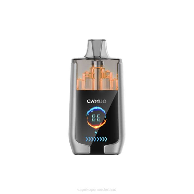 P8B215 Electronic Cigarette Vape - bosbessen ijs LAVIE CAMEO 30.000 trekjes
