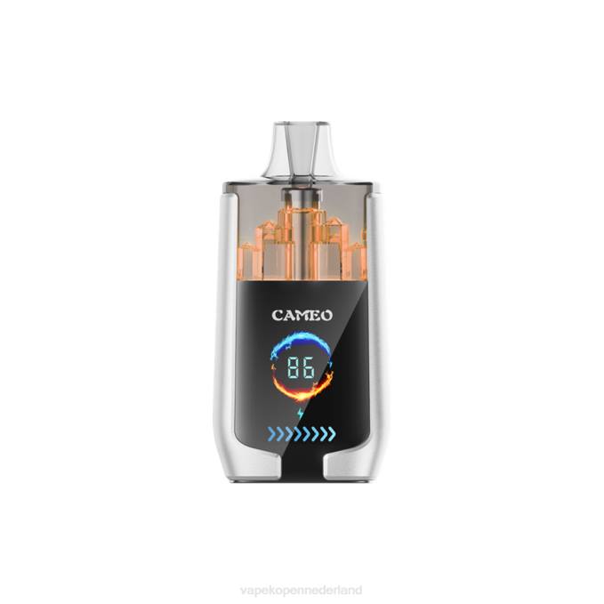 P8B217 E-Liquid Nederland - peren ijs LAVIE CAMEO 30.000 trekjes