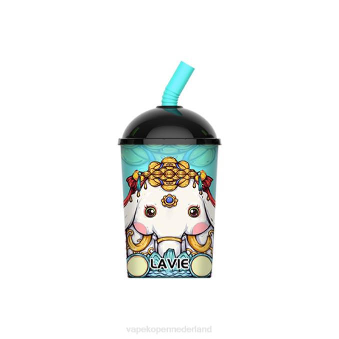 P8B2263 E-Liquid Nederland - munt ijs LAVIE Max Cup 8000 trekjes