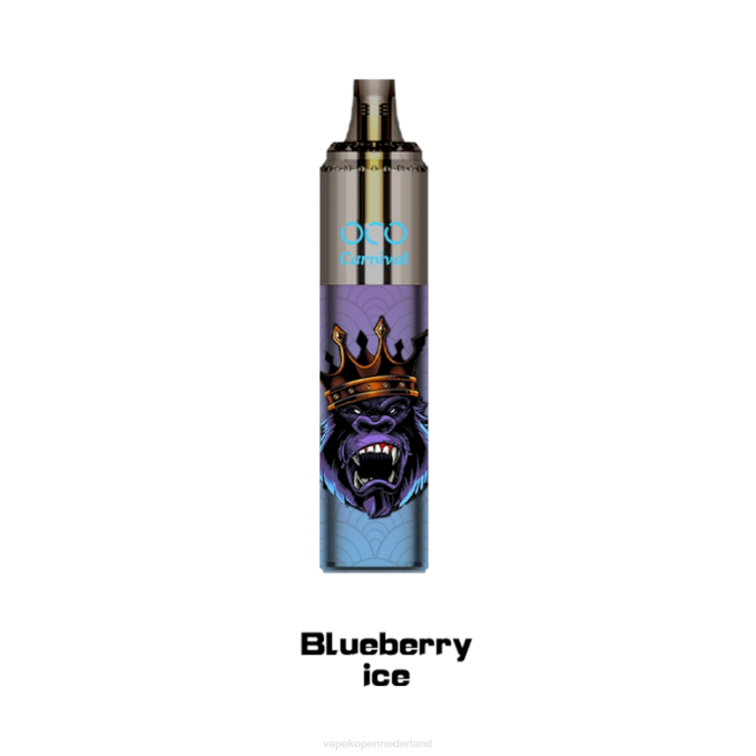 P8B2349 Vape Nederland - bosbessen ijs LAVIE OCO Carnaval 10.000 trekjes