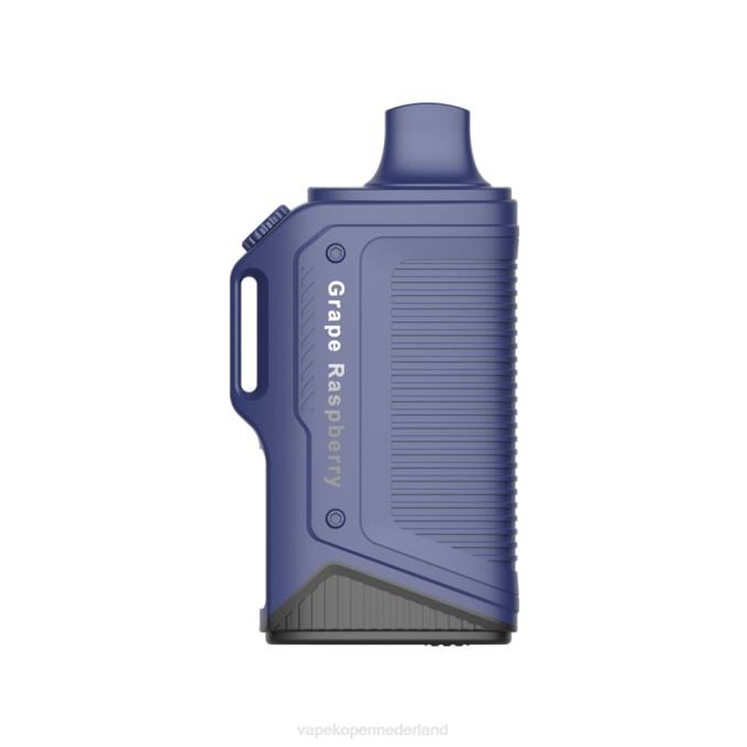 P8B277 E-Liquid Nederland - druif framboos LAVIE Energy Box 15000 trekjes