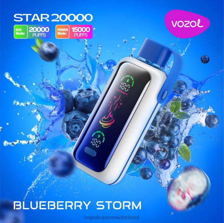 VOZOL STAR 20000 80VTP5 bosbessen storm Electronic Cigarette Vape